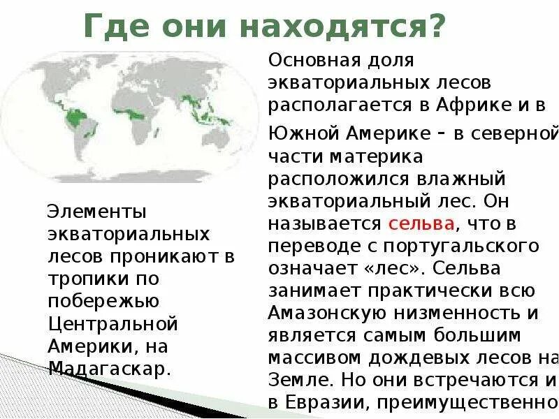 Влажные экваториальные леса на каких материках