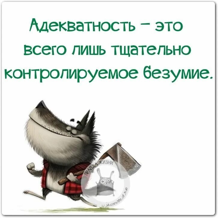 Я тоже обидела. Адекватность афоризмы. Шутки про адекватность. Адекватность цитаты. Смешные фразы про СУМАСШЕДШИХ.