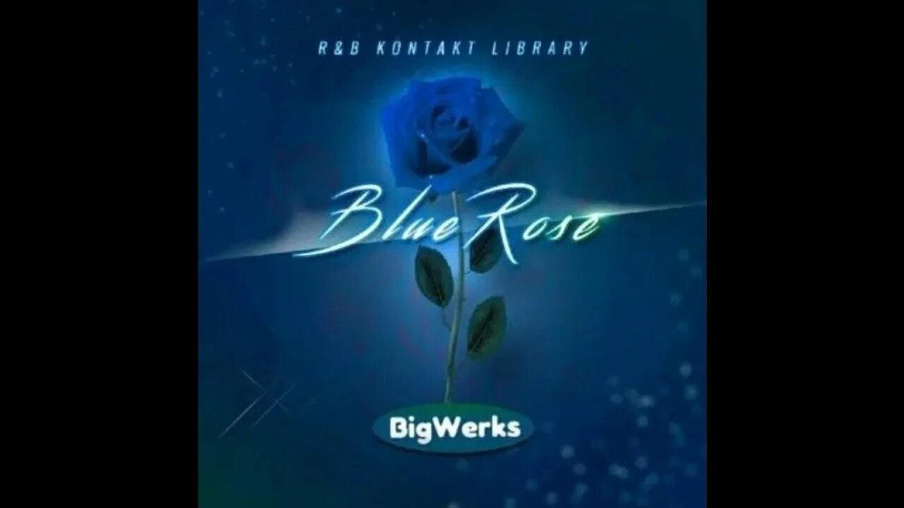 BIGWERKS - book of Sounds. Supersonic Vinica Blue Rose. Demo rose