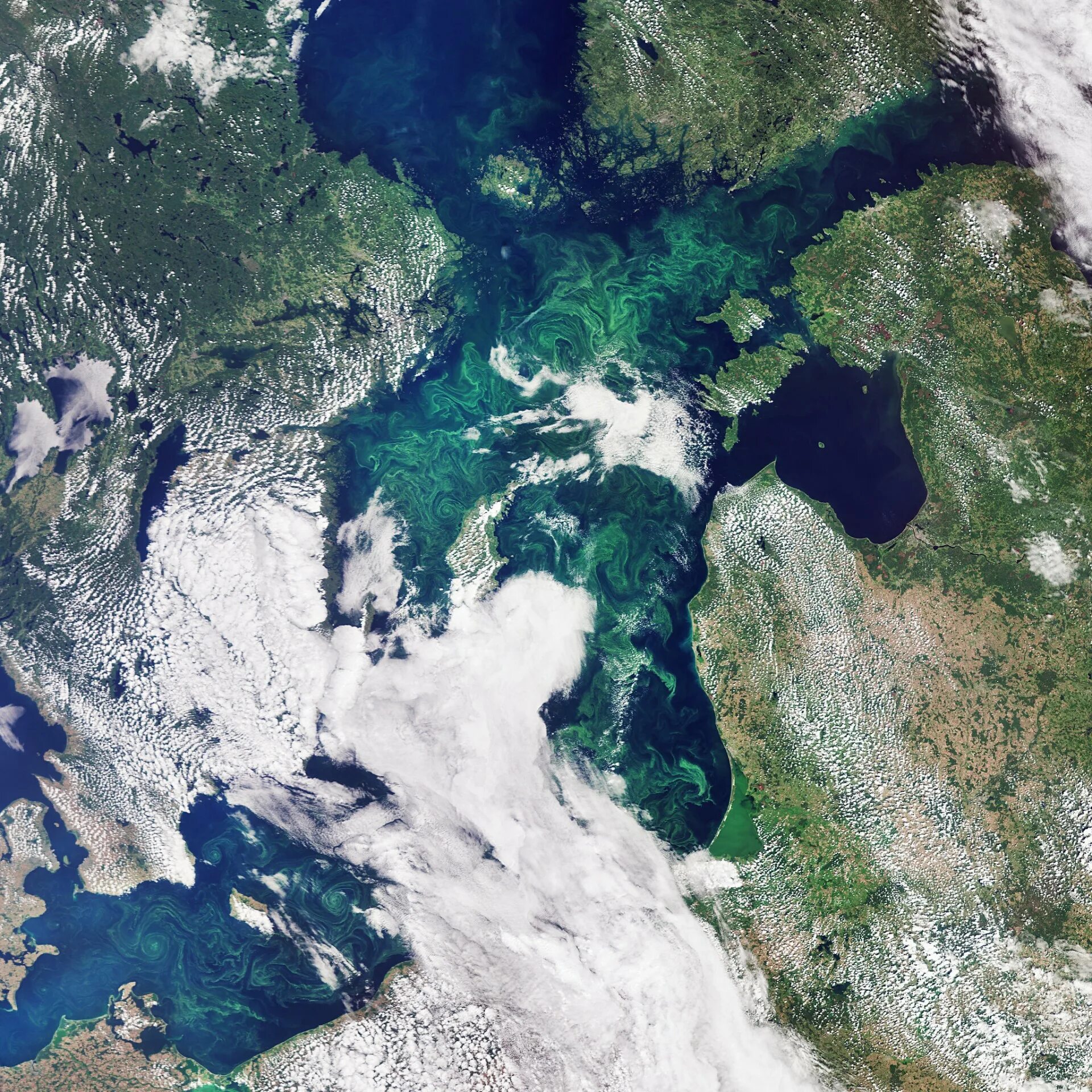 Сухой океан где. Саргассово море со спутника. Атлантический океан снимок из космоса. Тихий и Атлантический океан со спутника. Атлантический океан со спутника.