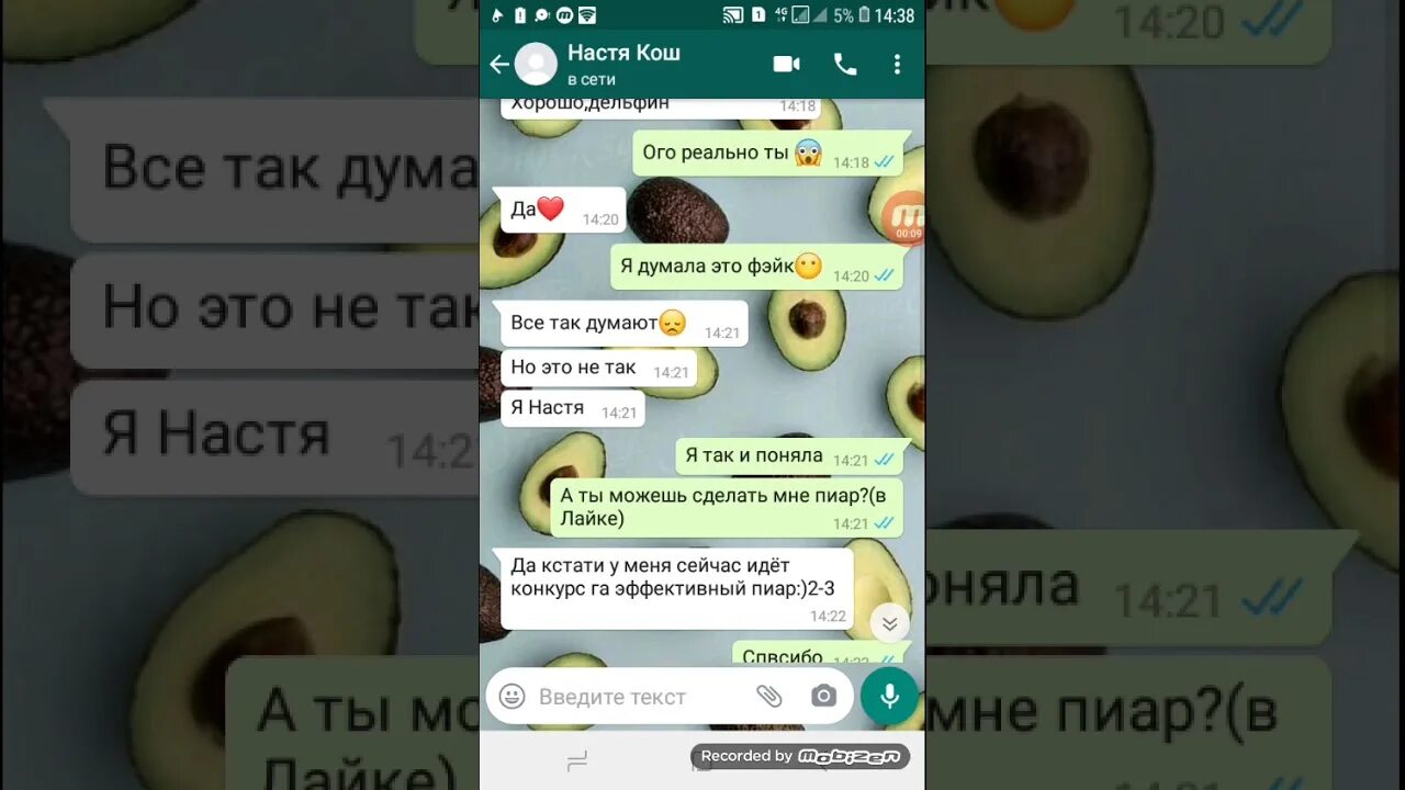 Текст песни лёд настя кош. Лёд настя кош текст. Текст песни настя кош. Текст песни принцесса настя кош. Песни дельфина тексты.