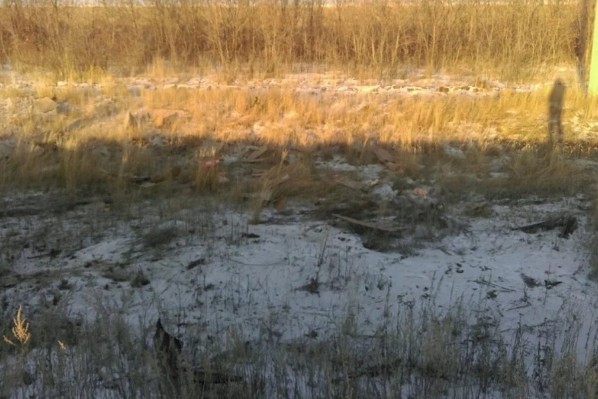 Погода димитровский оренбургская область. Домбаровский поселок. Погода димитровский оренбургская область. Погода димитровский оренбургская область. Погода димитровский оренбургская область.