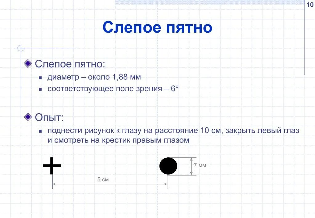 Лабораторная работа обнаружение слепого пятна. Измерение диаметра слепого пятна. как образуется слепое пятно. слепое пятно мариотта. размеры слепого пятна в норме.