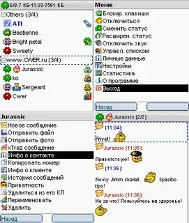 Аська смс на телефон