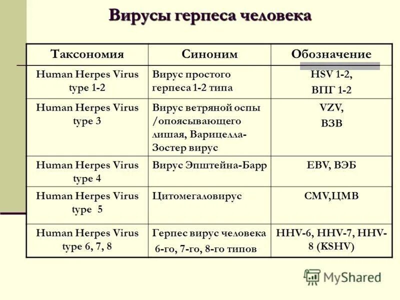 Определение типа герпеса. Вирус герпеса 1 2 6 типа у детей. вирус простого герпеса типы. вирус простого герпеса 6 типа. вирус простого герпеса обозначение.