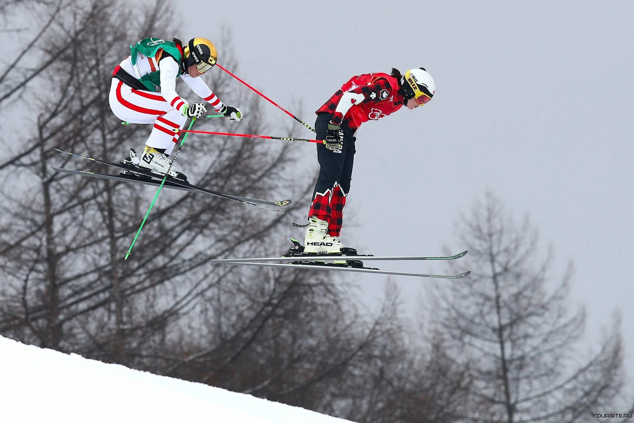 Ски кросс спорт. Ски-кросс фристайл. Шнайдер Герман ски кросс. Freestyle Ski Cross. Фристайл ски кросс женщины.