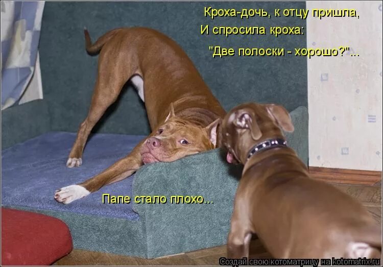 Плохо встает