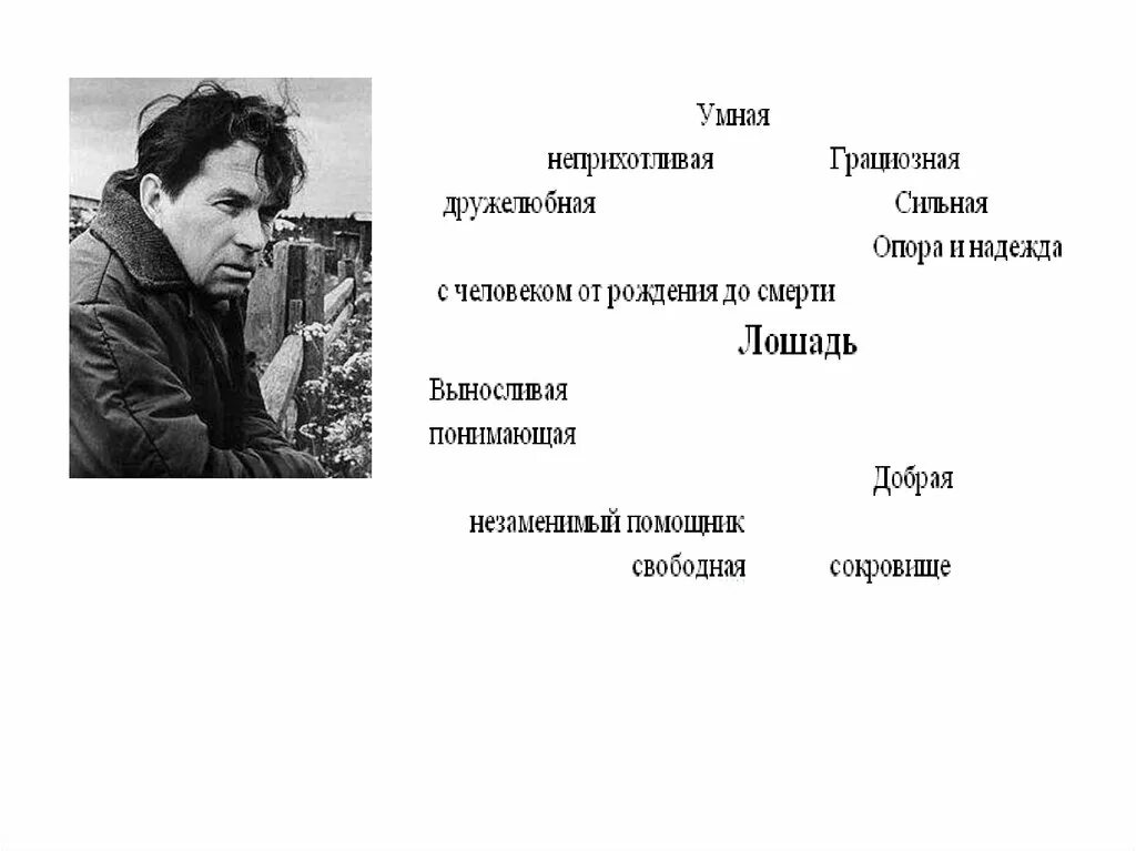 Тест по рассказу о чем плачут лошади. Рассказов ф.Абрамова.. Проверочная работа 7 класс Абрамов о чем плачут лошади. Ф А Абрамов. Тест о чем плачут лошади.