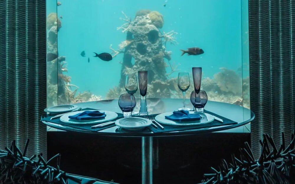 Ithaa undersea restaurant, остров рангали, мальдивы. Клуб под водой. Акваклуб вода в сестрорецке. Подводный ресторан на мальдивах. Клуб под водой.
