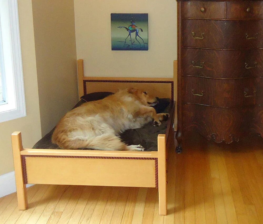 Собачья кровать для человека. Собака под кроватью. Кровать для собаки. Собачка в кровати. Собака пол кровать.