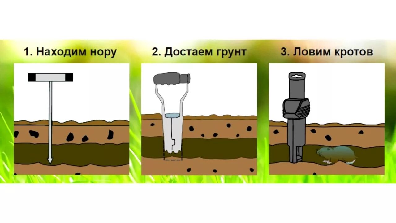 Какие условия необходимы для крота. Схема норы крота. кротоловка supercat. глубина нор кротов. устройство кротовой норы.