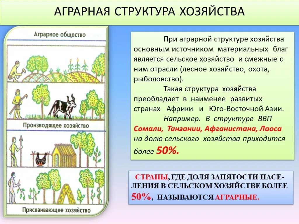 Особенности структуры экономики аграрных стран