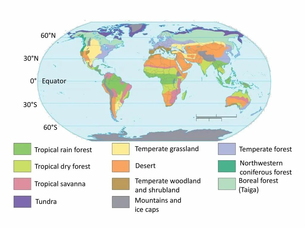 Биомы суши. Биомы земли. Биомы суши карта. Основные биомы земли.