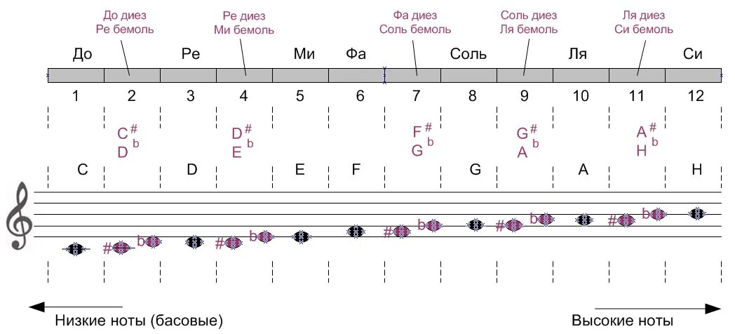 Басовые слова. Ноты. Нотный ряд на баяне. Название нот для аккордеона. Нотный ряд гармони.