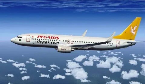 Pegasus airlines самолеты