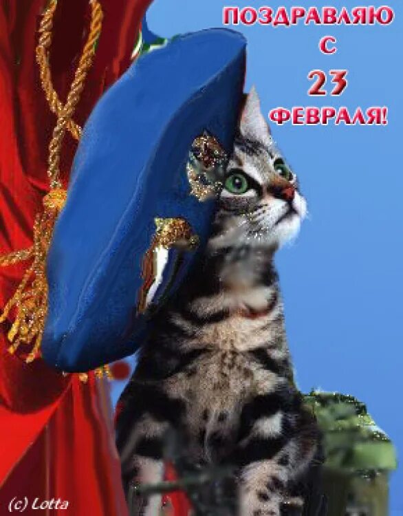 Открытка на 23 с котами. С 23 февраля. С 23 февраля котики. С днём защитника Отечества 23 февраля. Открытка 23 февраля.