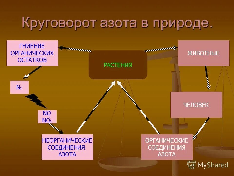 Соединение азота в природе