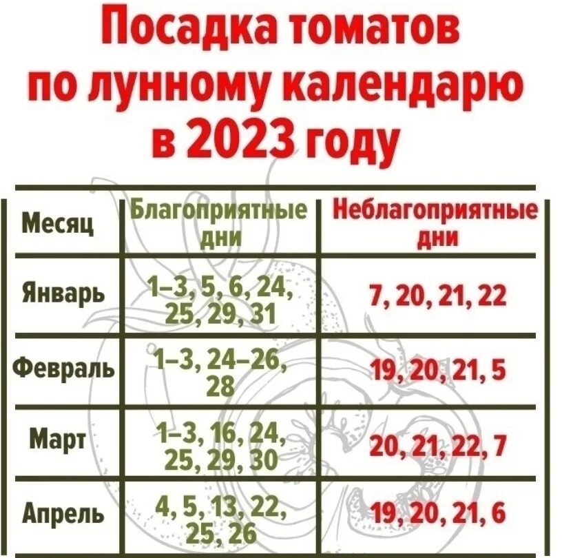 Январь для огородника