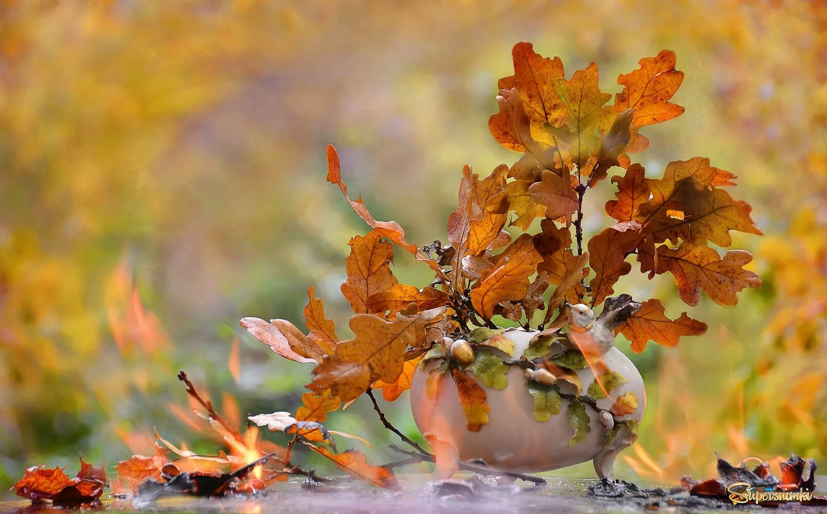 Осень. Осеннее настроение. Осенние картинки. Нежная осень. Виновата осень
