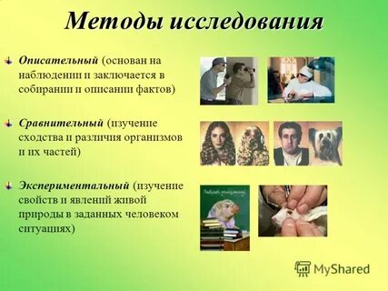 Научные методы ученых зоологов