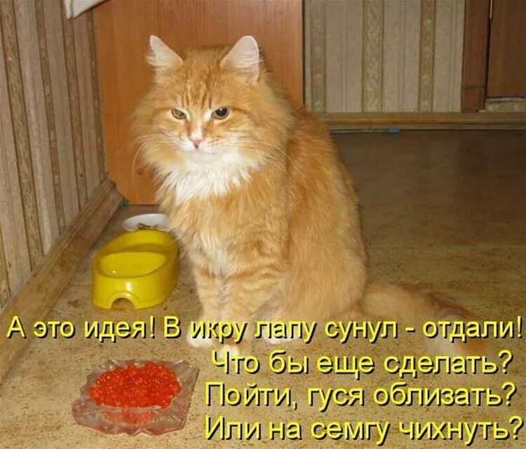 Что будем делать пойдешь