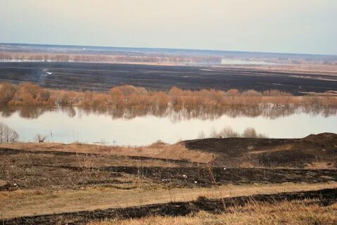 Разлив реки ока в алексине