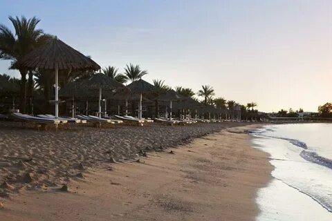 Sharm dreams resort 5 шарм эль шейх
