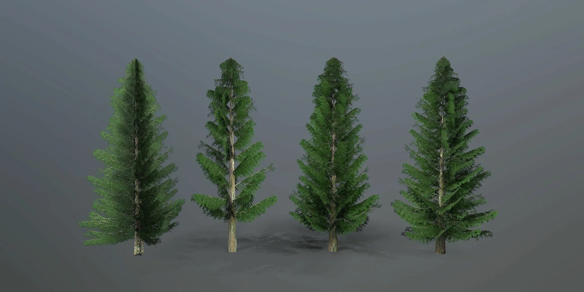 Ель 3д модель. Дерево ель 3д модель. ель 3d модель. 3d модель ели. ель концепт.
