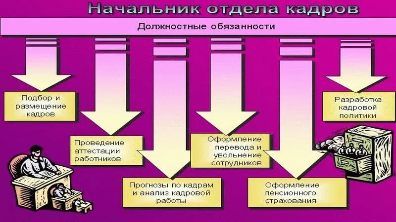 Начальника отдела кадров главного