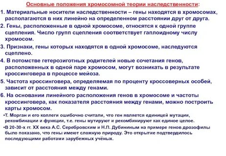 Положения теории генов