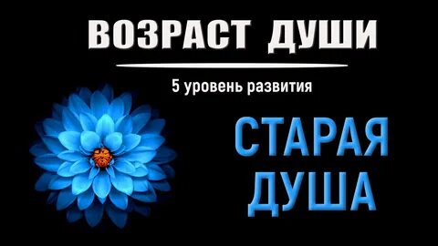 Возраст души 11