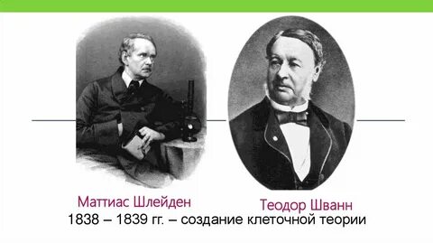 М шлейден и т шванн создавшие