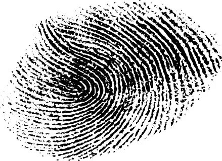 Fingerprint js