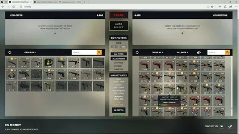 Wiki cs money