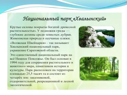 Национальные парки проект 7 класс