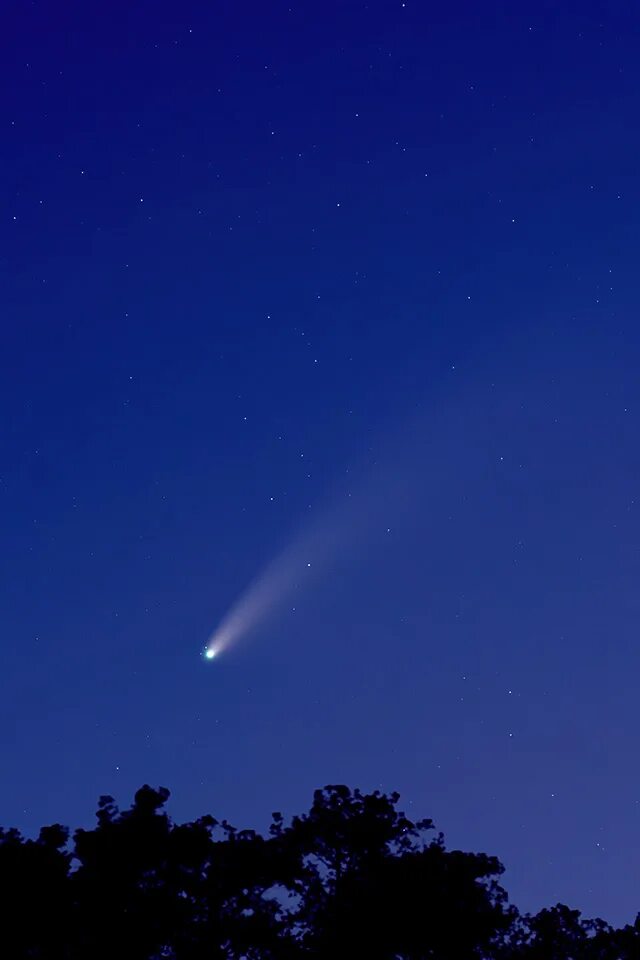 Комета в хабаровске сегодня. Бодин Комета. Комета 1998. Комета 2020. Комета Нисимура.