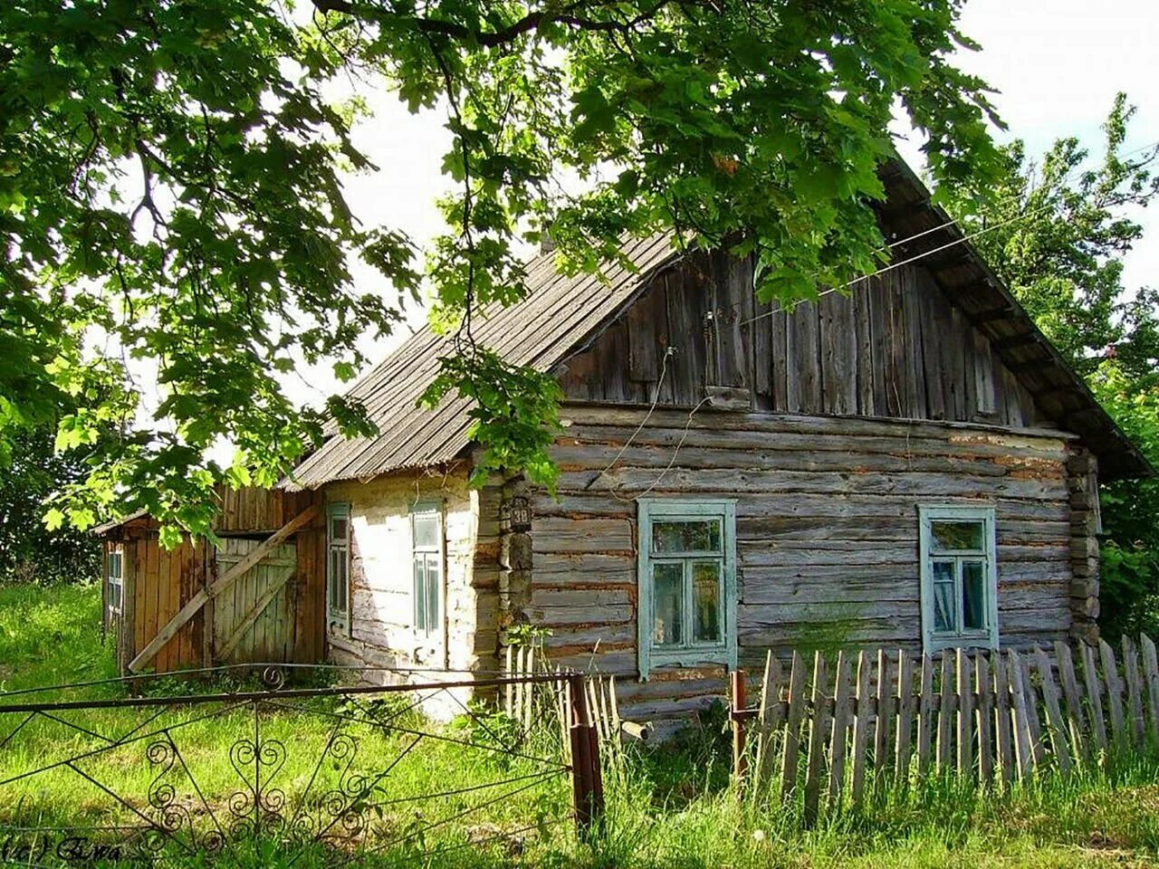 Купить деревню в беларуси. Деревня Журавок Березинского района. Сельский дом Беларусь. Деревенский домик. Старый дом в деревне.