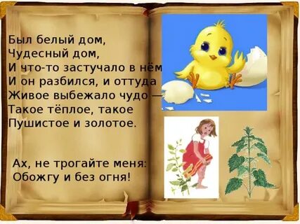 Был дом чудесный дом