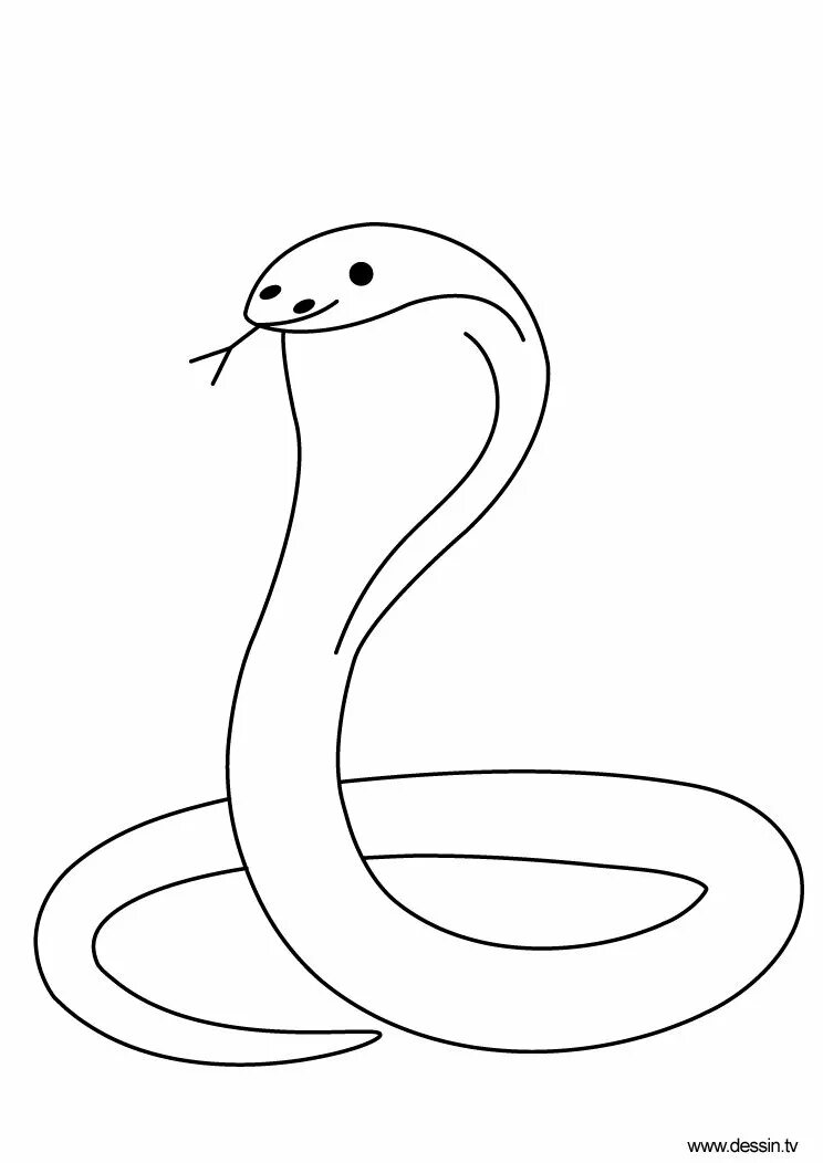 Легкая змейка. Рисунок змеи. Змея карандашом. Змеи для срисовки. Кобра рисунок карандашом.