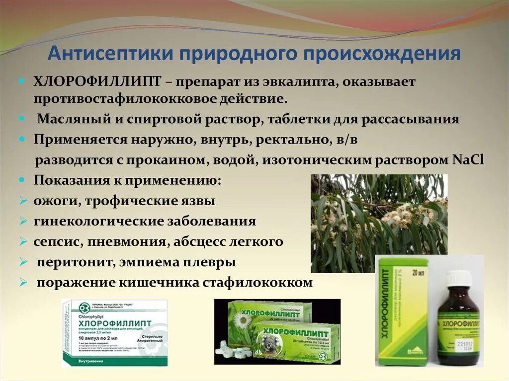 Можно л применять. Антисептики природного происхождения. Растительные антисептики. Антисептические лекарственные препараты. Хлорофиллипт.