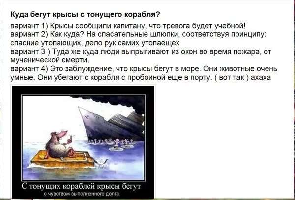 К чему снится убегающая крыса. К чему снится снятся крысы. К чему снятся мыши. К чему снится убегающая крыса. К чему снится убегающая крыса.