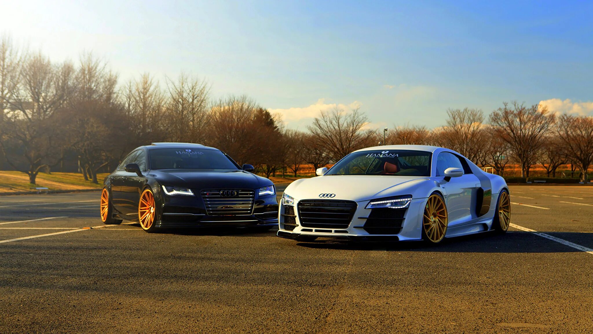 Two car 6. Audi r8 vs. Audi r8 gt3. Audi r8 stance. Audi r8 Japan.