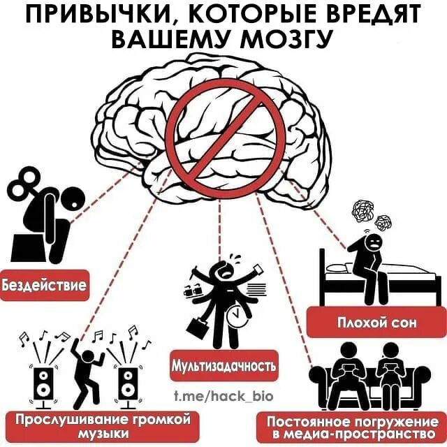 Нейробика упражнения для мозга. Полезные привычки для мозга. Биохакинг мозга упражнения. Нейробика упражнения для мозга для пожилых. Школы жизни через жизнь