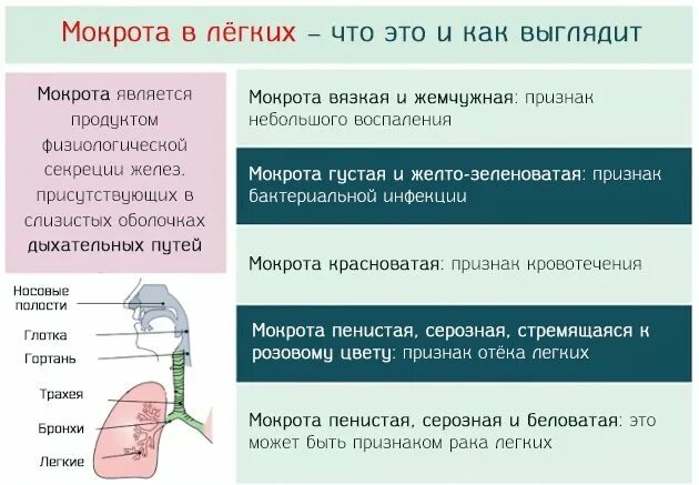 Мокрота без симптомов