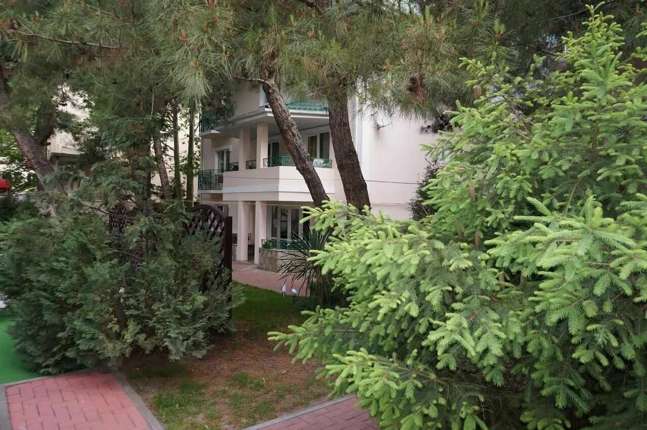 Сосны дачи недорого. Сосны на даче. Сосна обыкновенная на участке. Дом в сосновом бору. Сосны на даче.