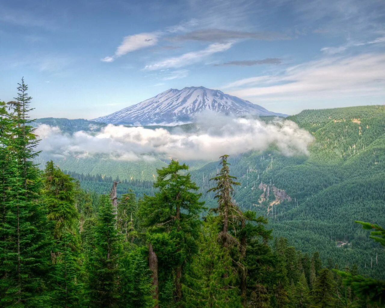 Природа горы лес. Пик поднебесный тофалария. Грин маунтинс хребет. Горный алтай склон тропинка лес. Лесные горы.