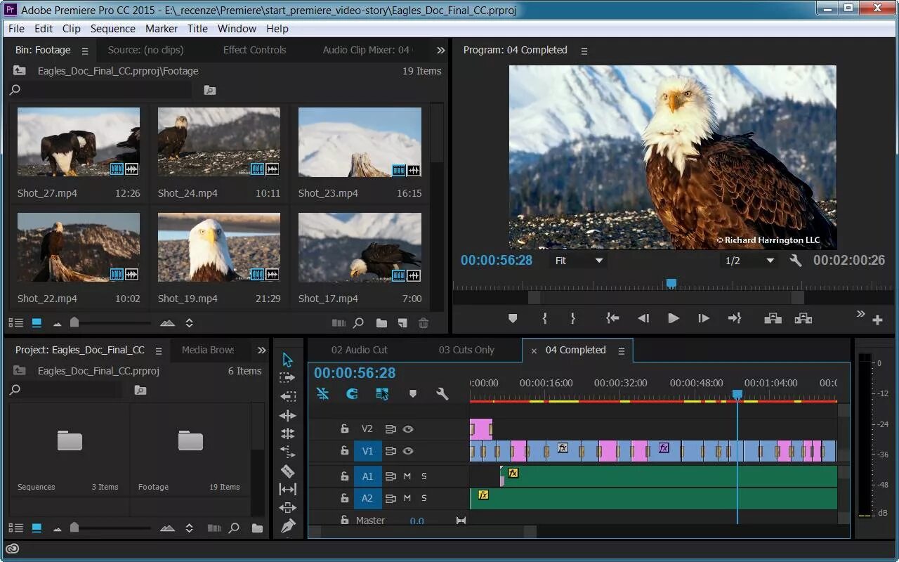 Адоб премьер про версии. Adobe premiere 15. премьер про 2025. премьер сс 2015. adobe premiere pro 2025.