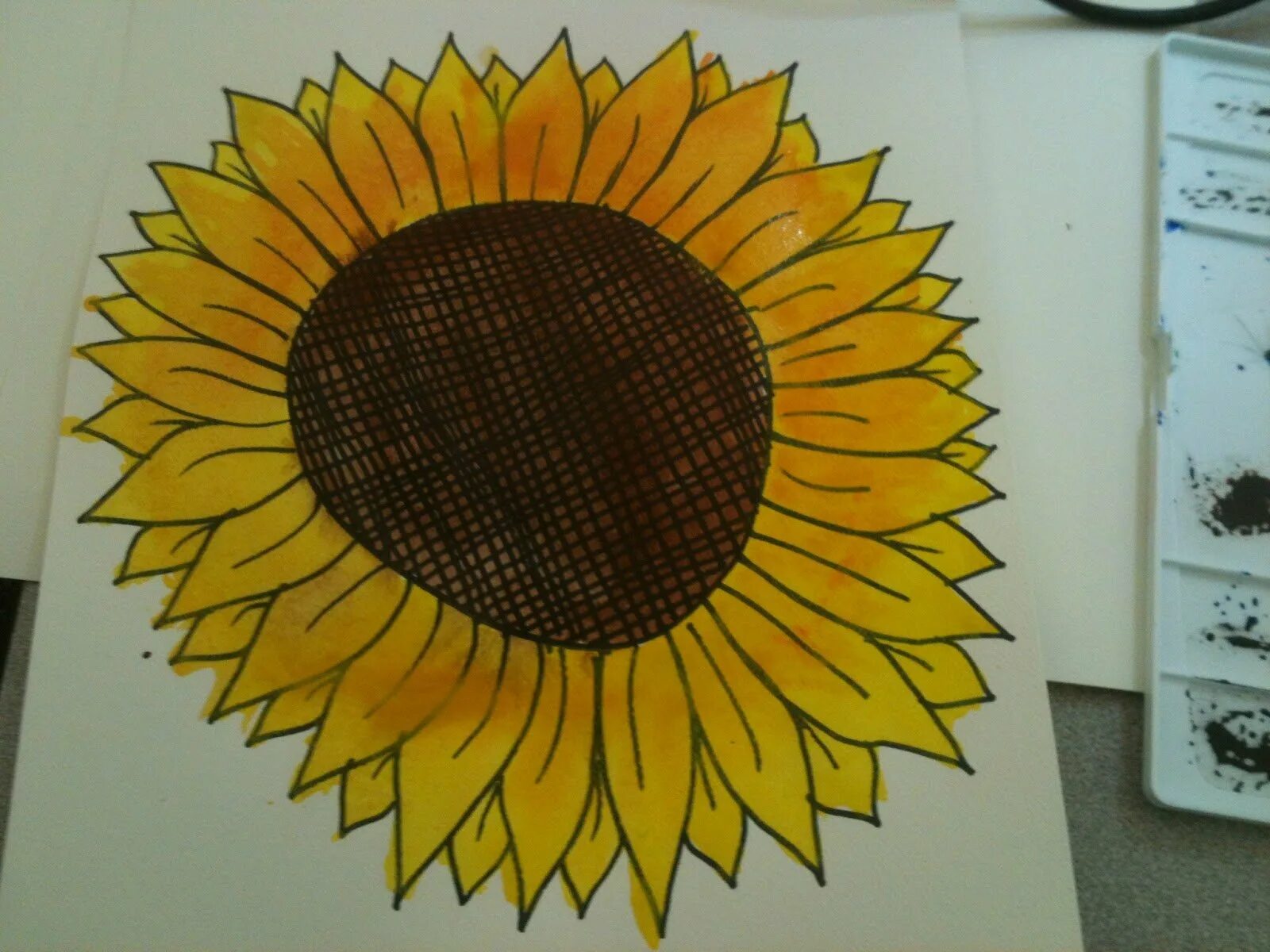 подсолнух пошагово. подсолнух рисунок. подсолнух этюд акварель. подсолнух рисунок. подсолнухи рисование для детей.