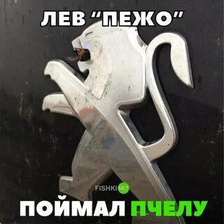 Езжу на пежо и не