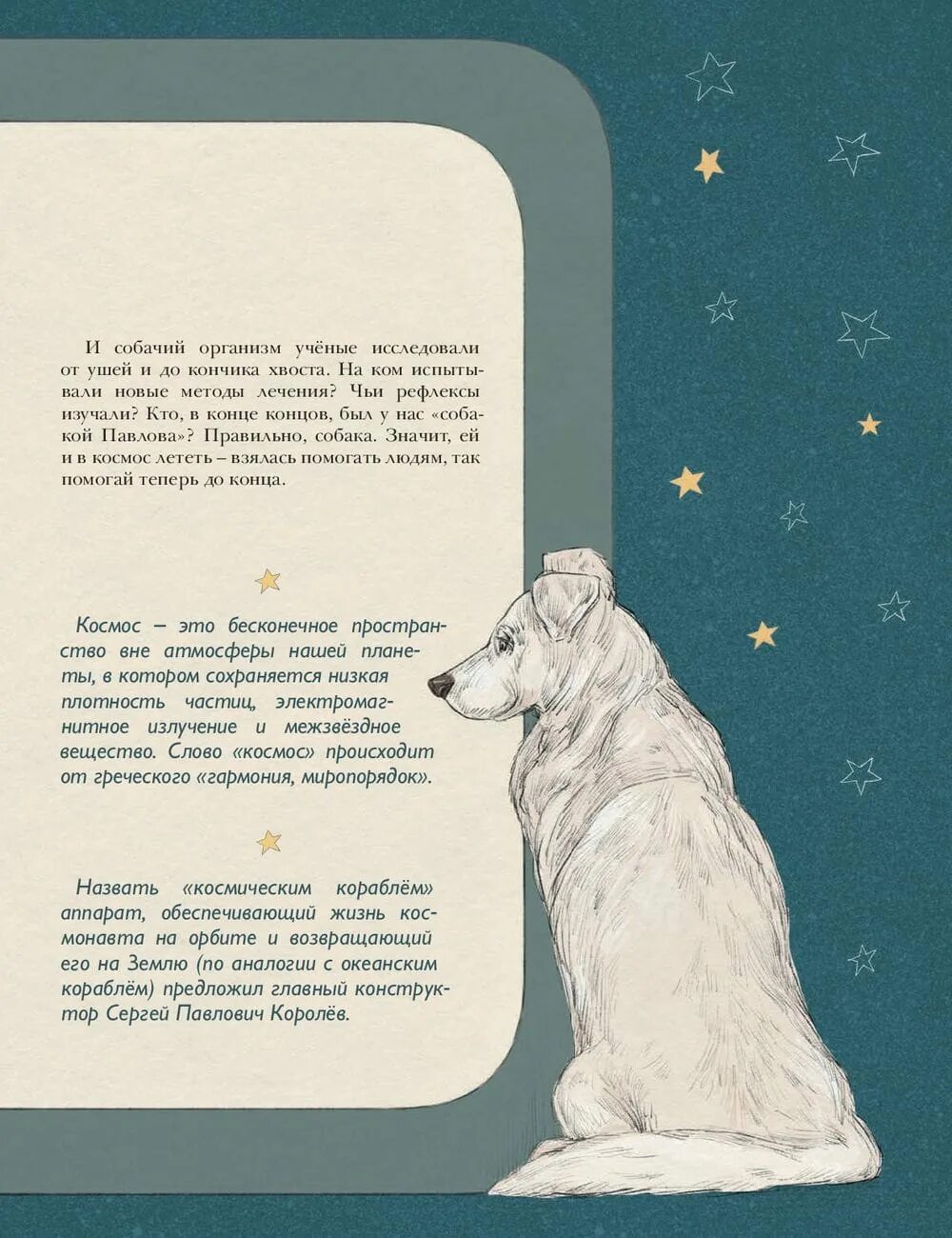 Какая собака была в космосе 5 раз. Первые покорители космоса книга. животные космонавты книга. животные в космосе книга.